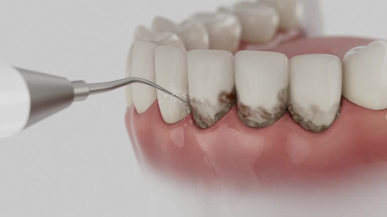 Reliable Dental contractor in Nicholson, GA by Dentist Open Now